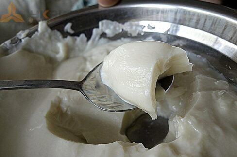 Wonderful milk curd made by 　vacuum homogenizer machine　